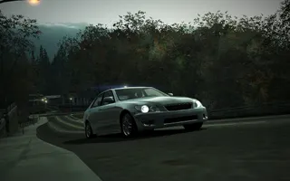 41256