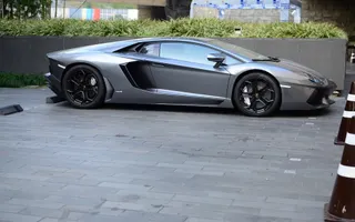 33981