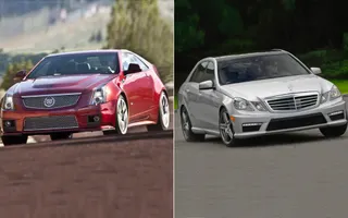 41561
