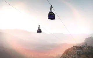 50487