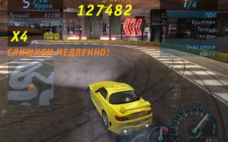 51293